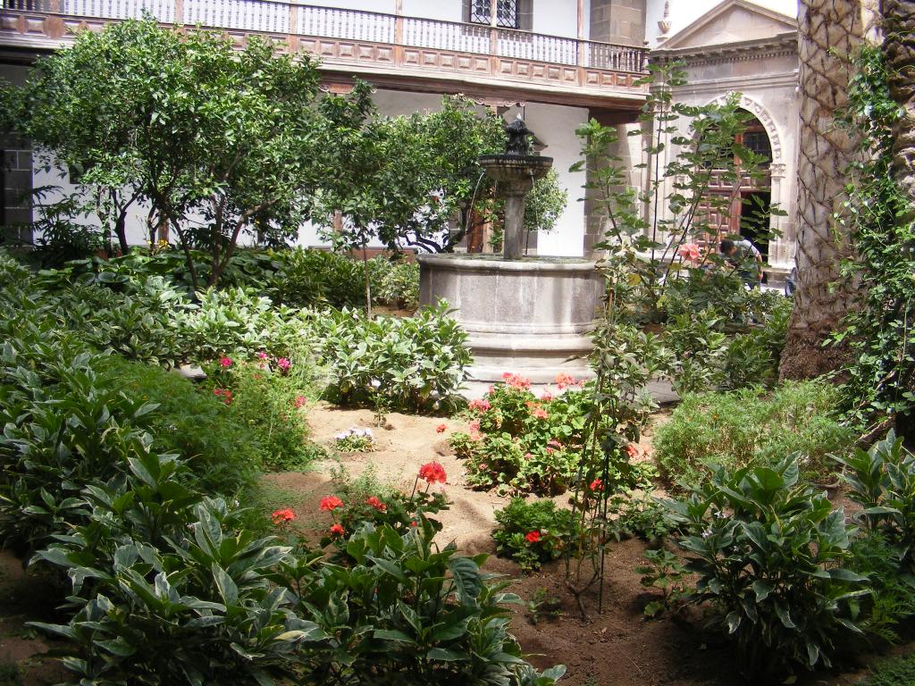 Foto de Las Palmas de Gran Canaria (Las Palmas), España