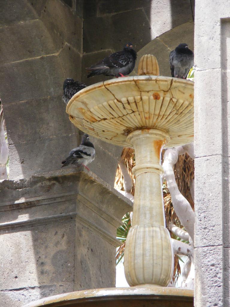 Foto de Las Palmas de Gran Canaria (Las Palmas), España