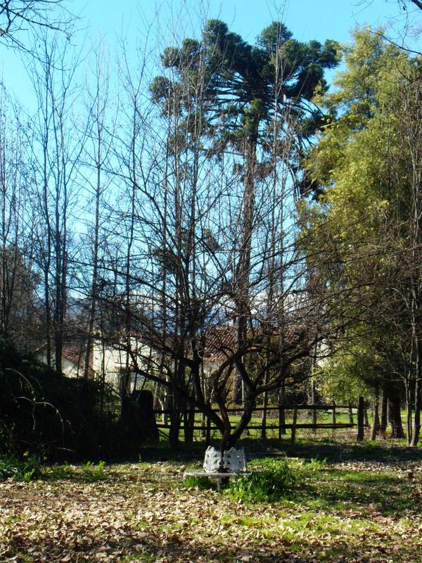 Foto de Pirque, Chile