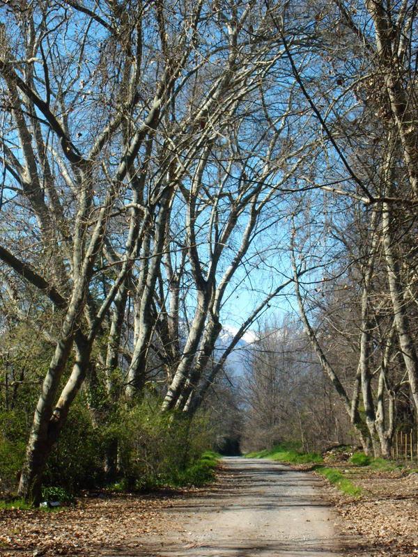 Foto de Pirque, Chile