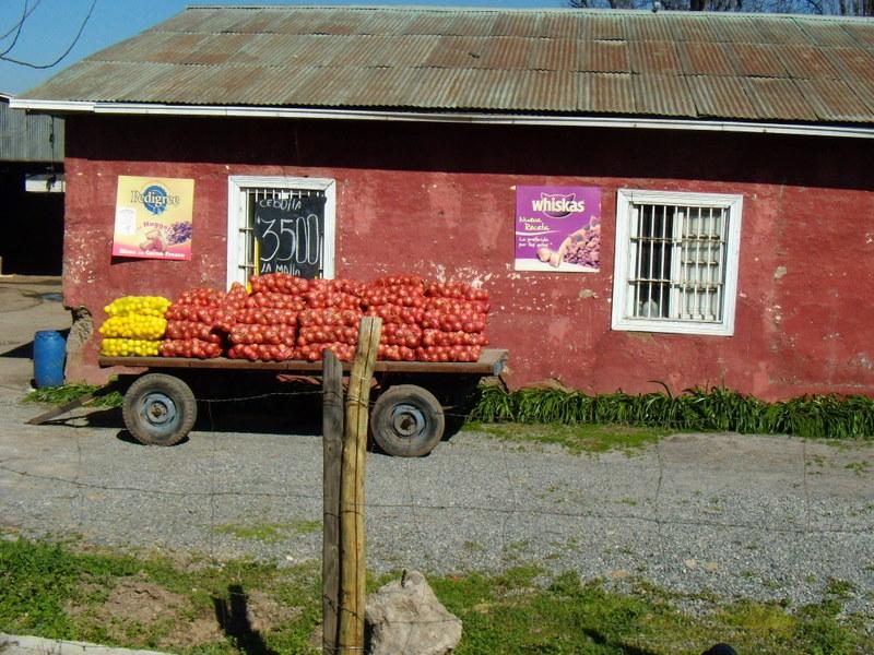 Foto de Pirque, Chile