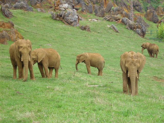 Foto de Cabarceno (Cantabria), España