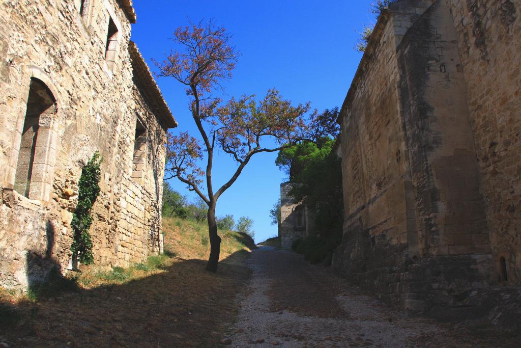 Foto de Villeneuve Lez Avignon, Francia