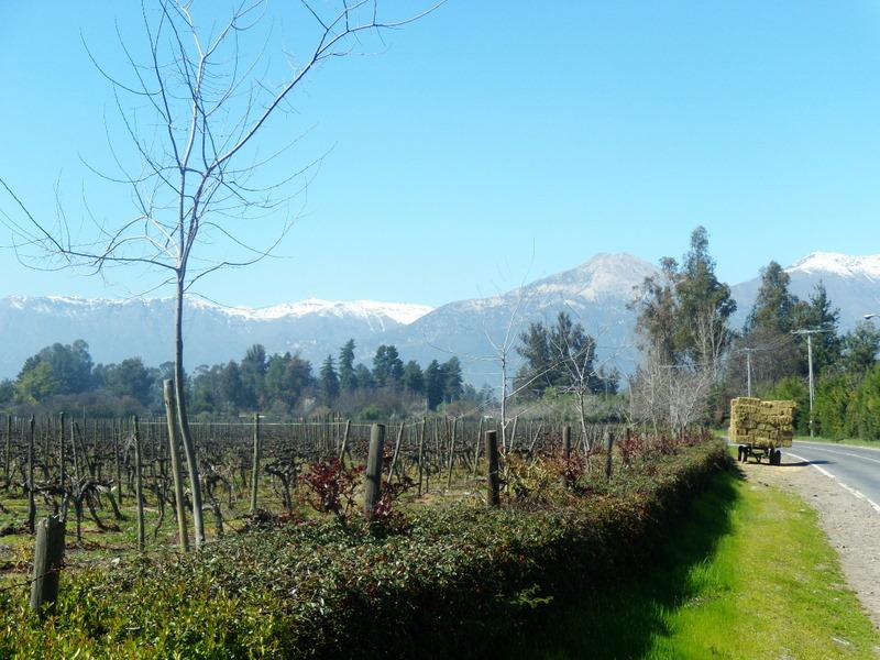 Foto de Pirque, Chile