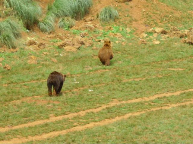 Foto de Cabarceno (Cantabria), España