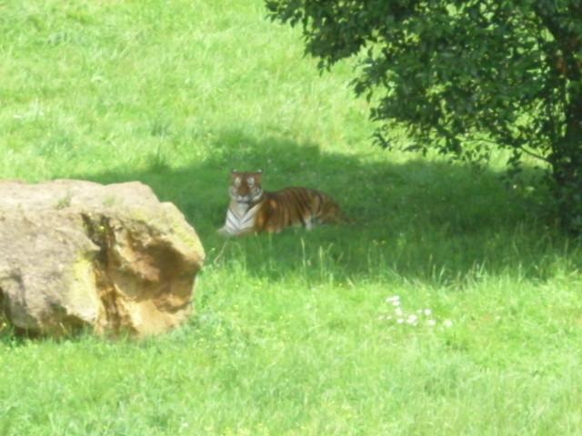 Foto de Cabarceno (Cantabria), España