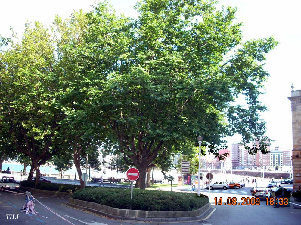 Foto de Gijón (Asturias), España