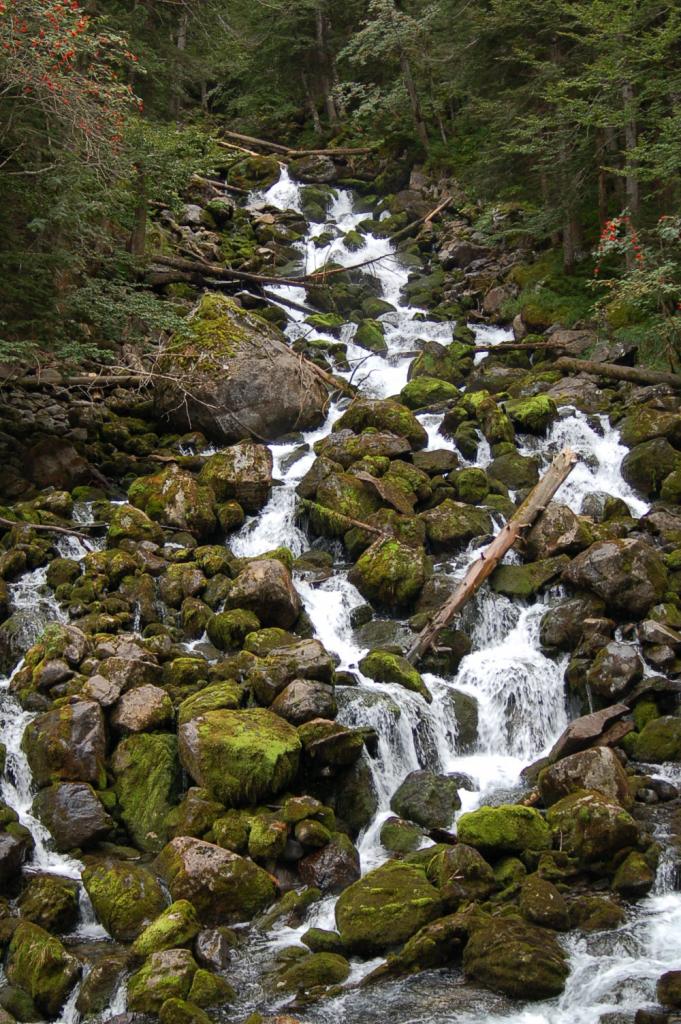 Foto de Vielha (Lleida), España