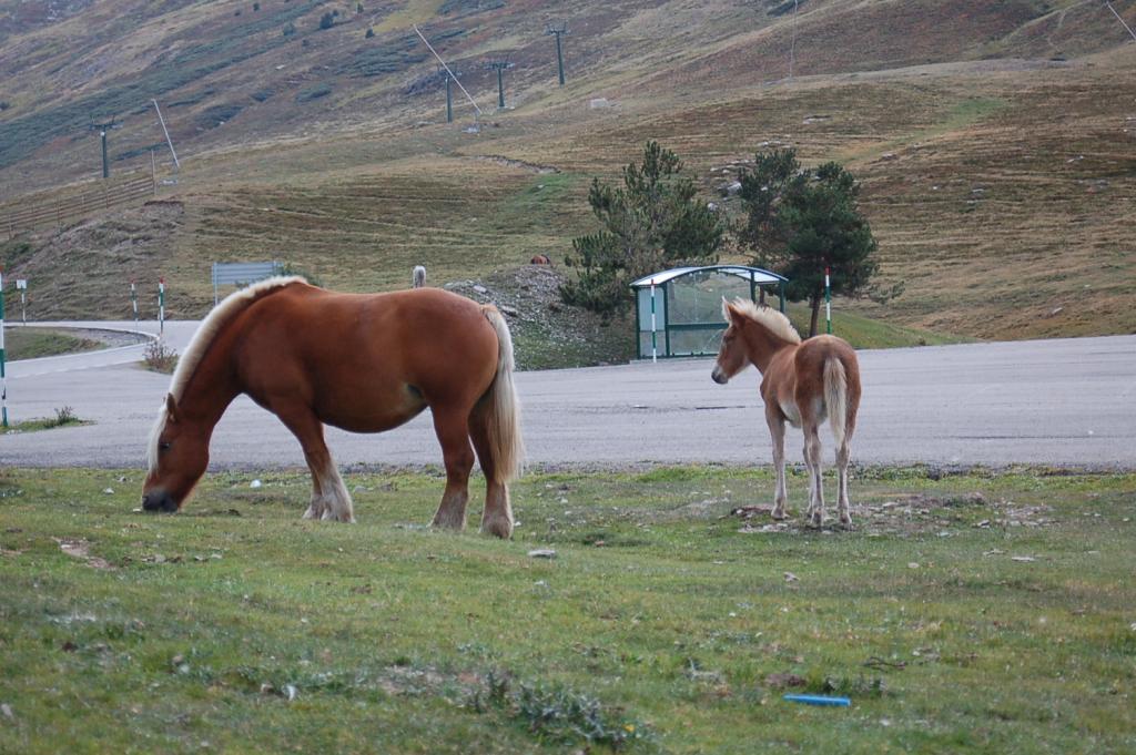 Foto de Pla de Beret (Lleida), España