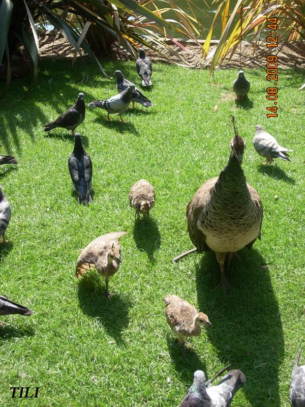 Foto de Oviedo (Asturias), España