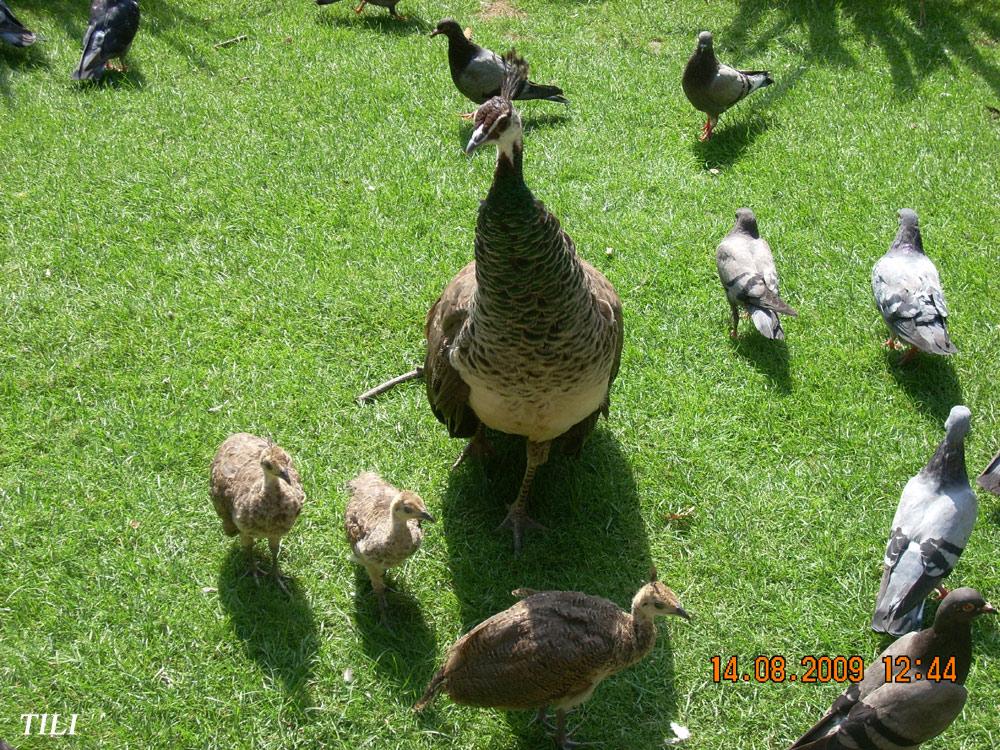Foto de Oviedo (Asturias), España