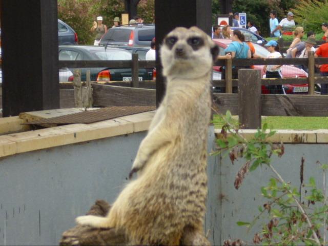 Foto de Cabarceno (Cantabria), España