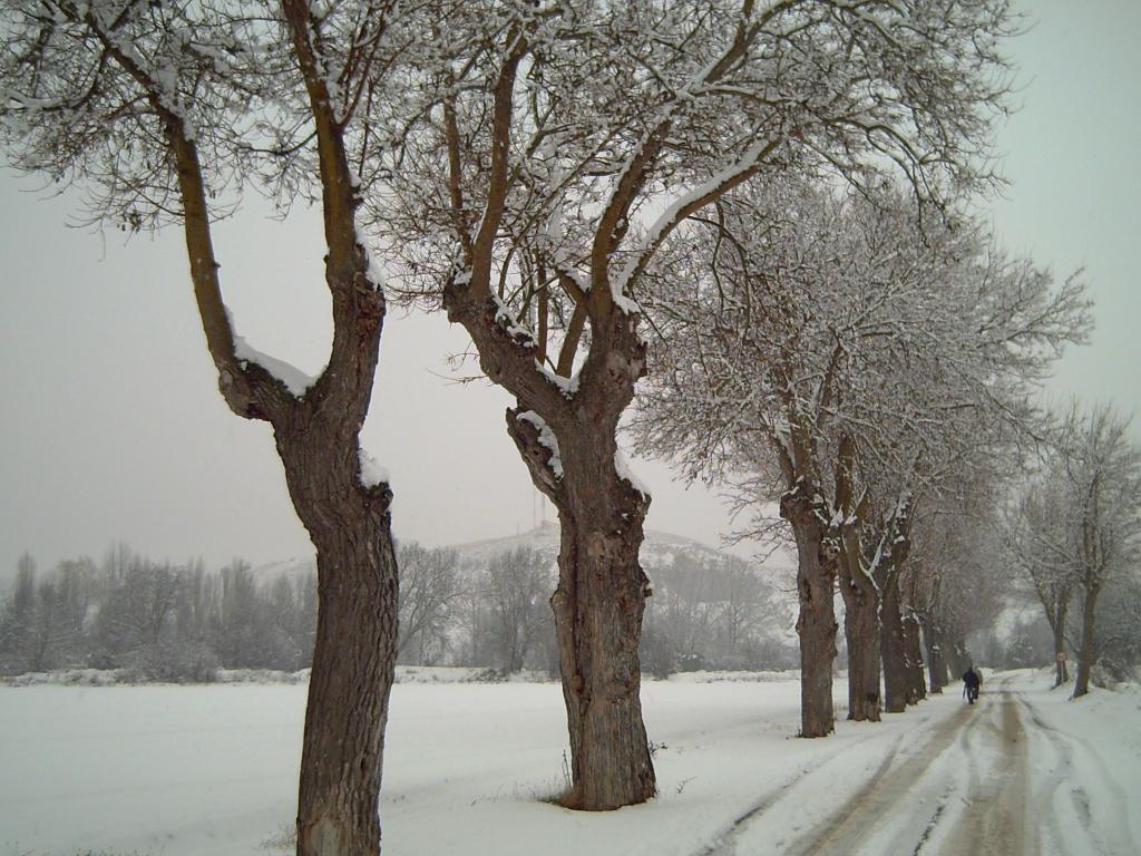 Foto de Morata de Tajuña (Madrid), España