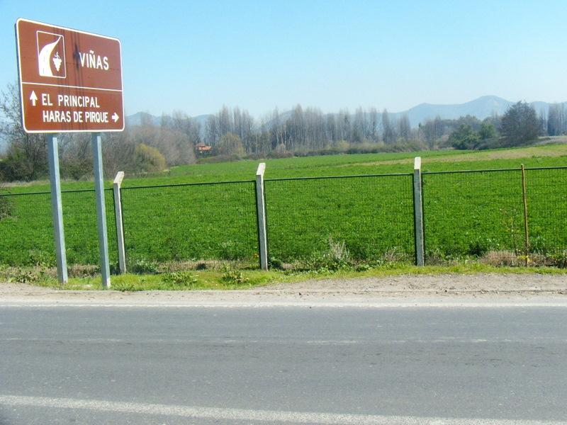 Foto de Pirque, Chile