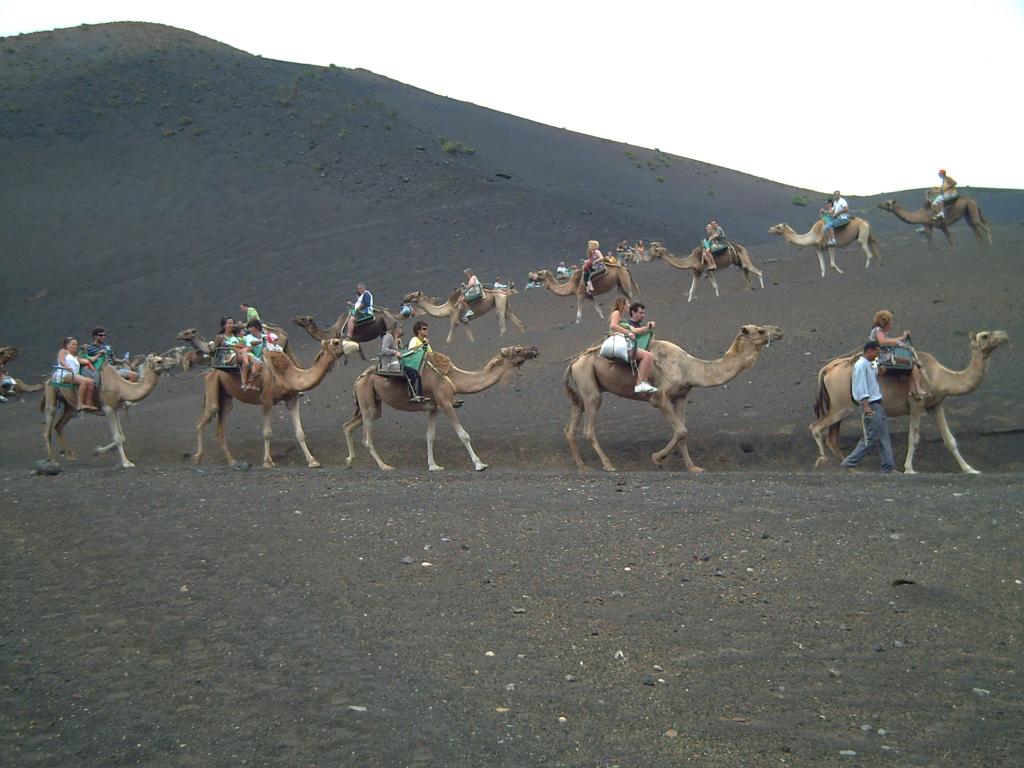 Foto de Lanzarote (Santa Cruz de Tenerife), España