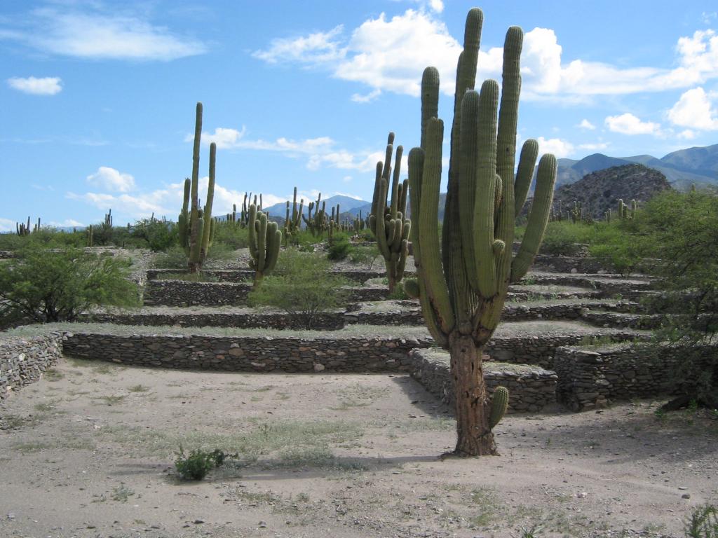 Foto de Tucuman, Argentina