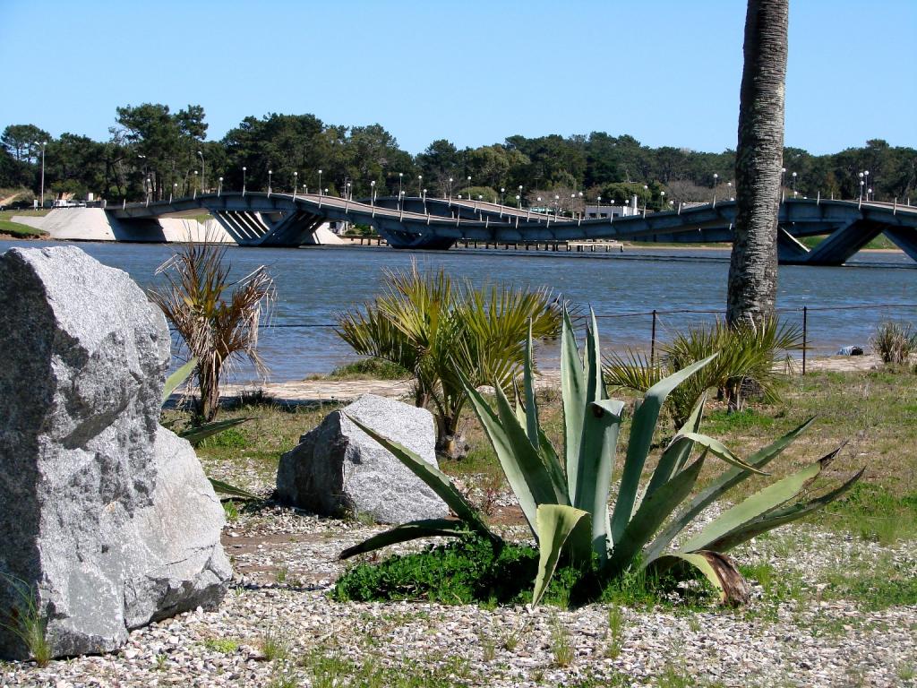 Foto de Punta del Esre, Uruguay
