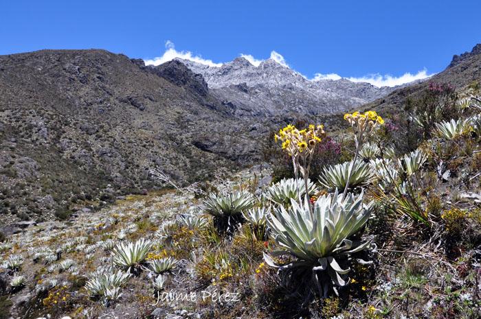 Foto de Los Nevados, Venezuela