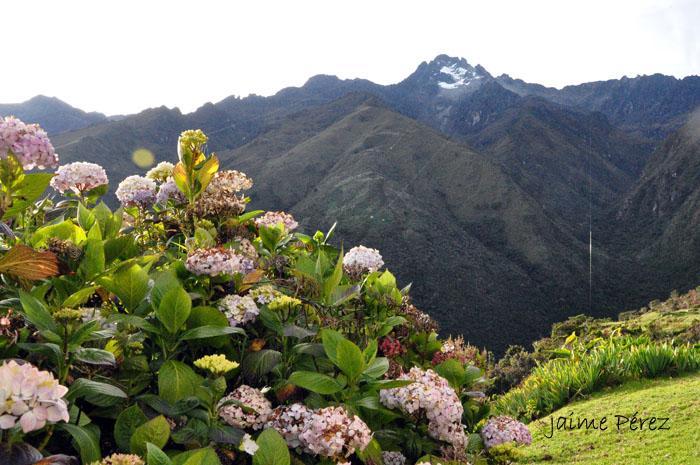 Foto de Mérida, Venezuela