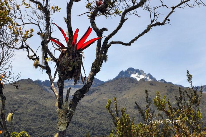 Foto de Mérida, Venezuela