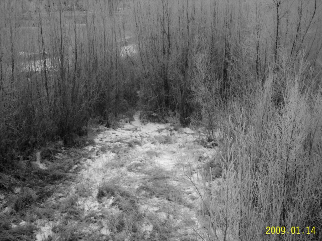 Foto de León (Castilla y León), España