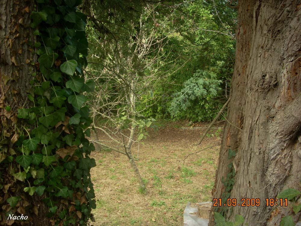 Foto de Figarines (Oviedo) (Asturias), España