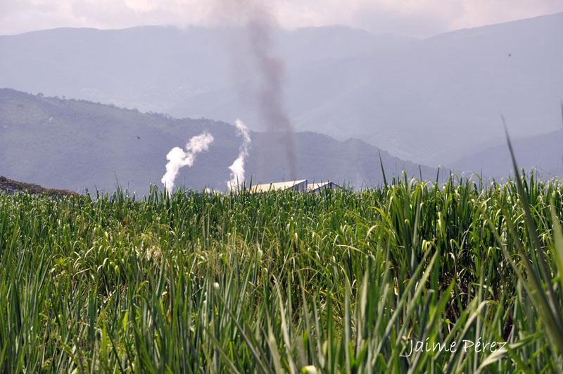 Foto de La Pastora (Lara), Venezuela