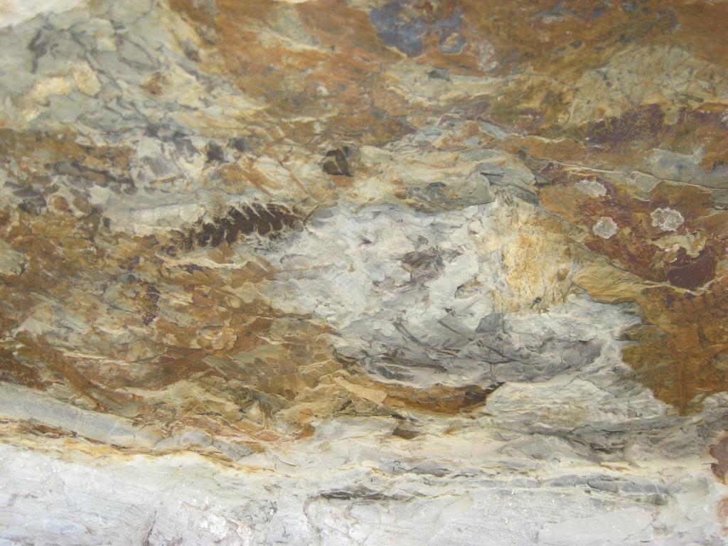 Foto de San Juan, Argentina