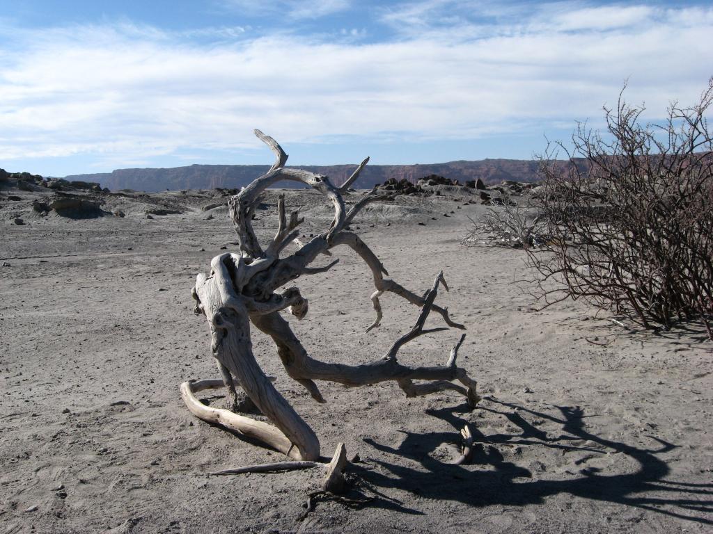 Foto de San Juan, Argentina