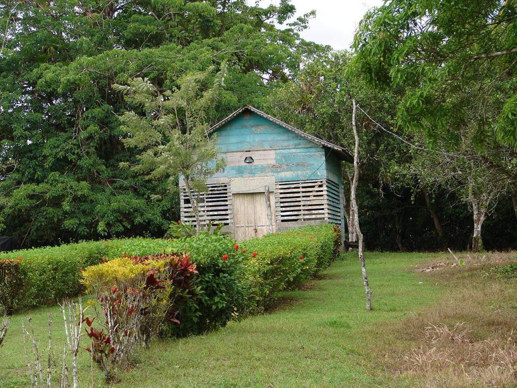 Foto de Upala (Alajuela), Costa Rica