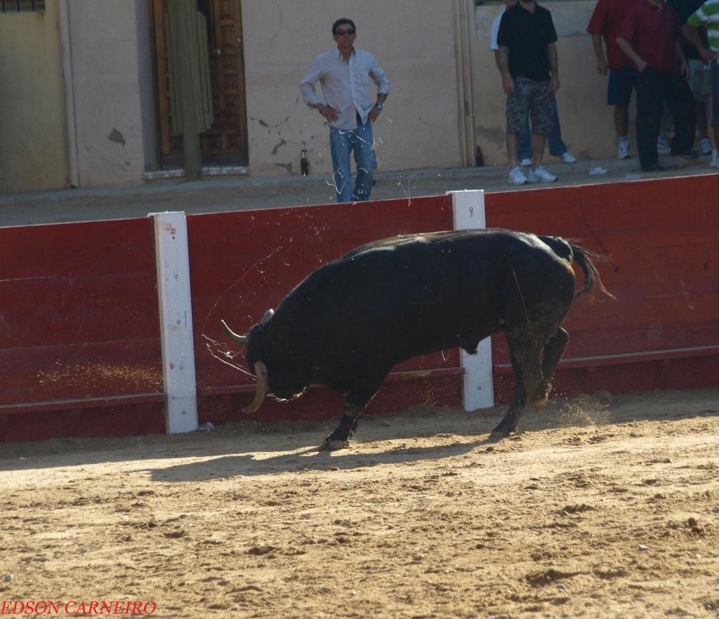 Foto de Peñafiel (Valladolid), España