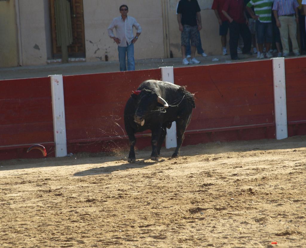 Foto de Peñafiel (Valladolid), España