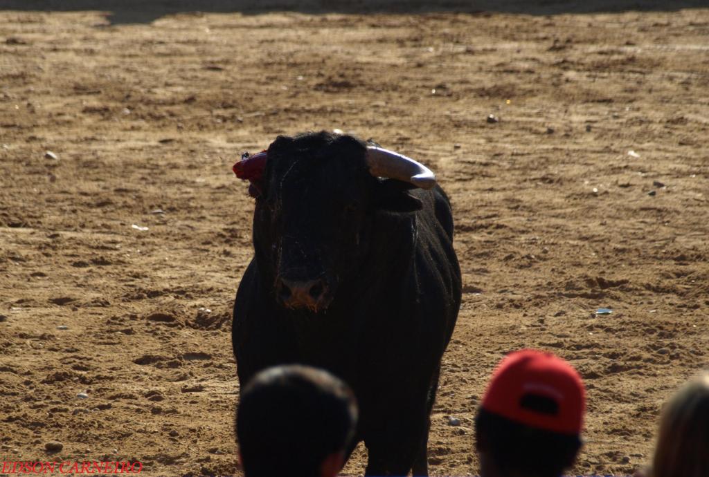 Foto de Peñafiel (Valladolid), España