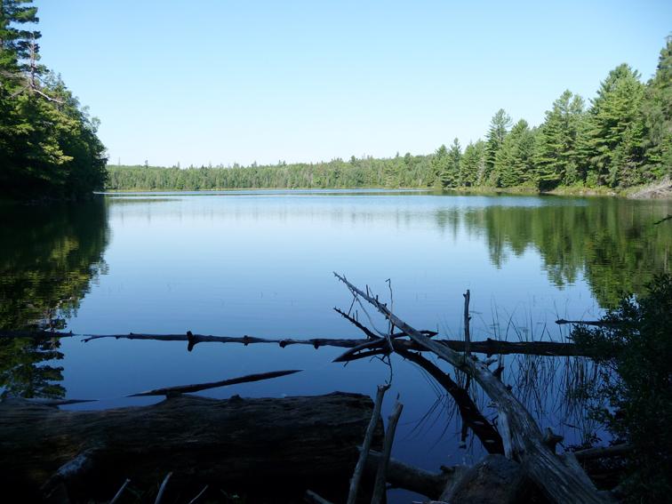 Foto de Algonquin, Canadá