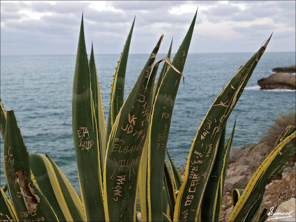 Foto de Oropesa del Mar (Castelló), España