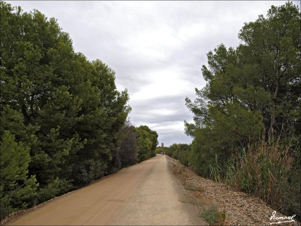 Foto de Oropesa del Mar (Castelló), España