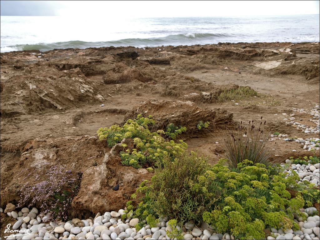 Foto de Cabanes (Castelló), España