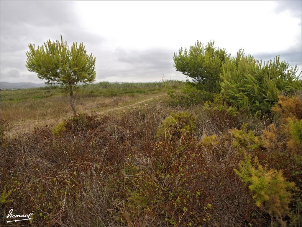 Foto de Cabanes (Castelló), España