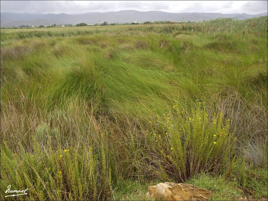 Foto de Cabanes (Castelló), España