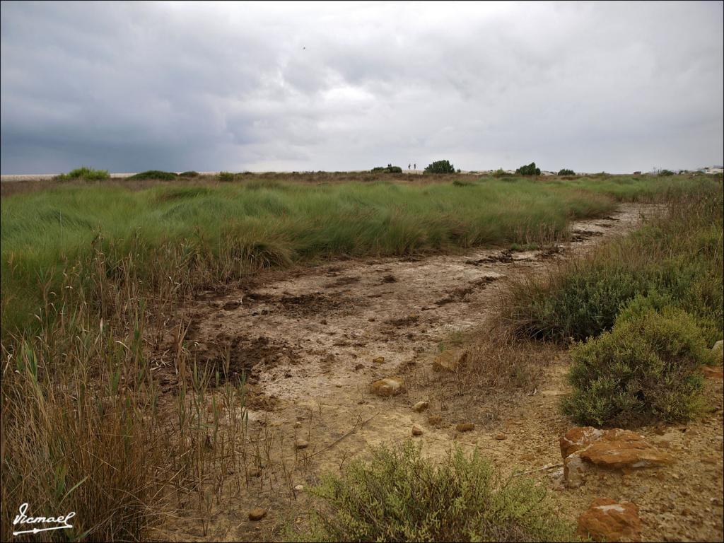 Foto de Cabanes (Castelló), España