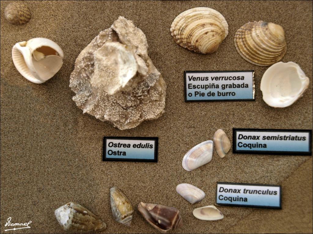 Foto de Cabanes (Castelló), España