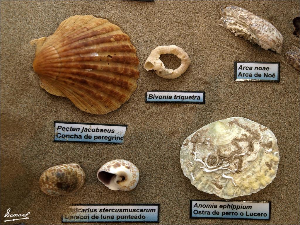 Foto de Cabanes (Castelló), España