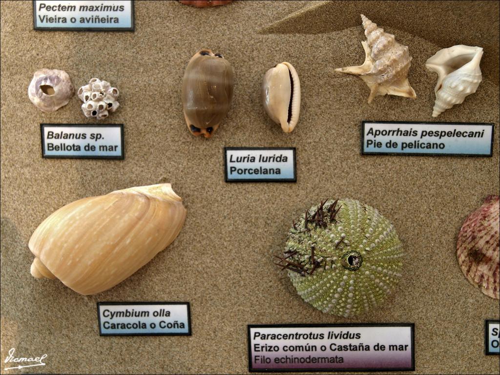 Foto de Cabanes (Castelló), España