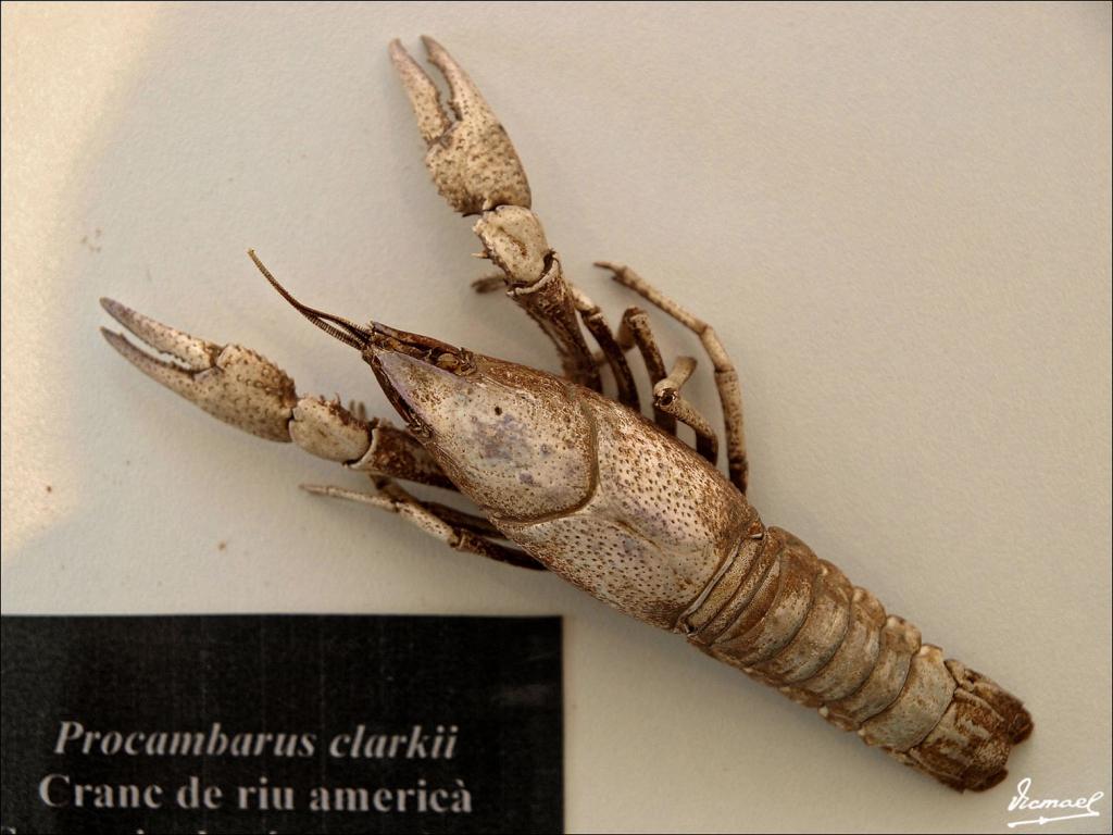 Foto de Cabanes (Castelló), España