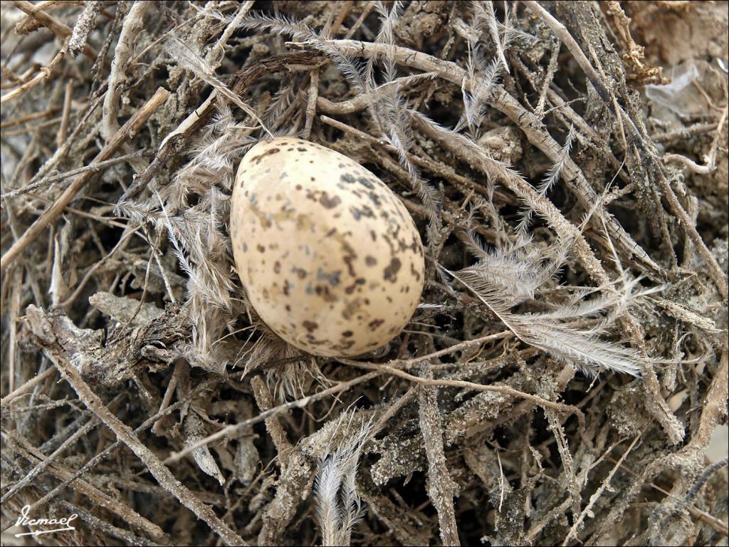 Foto de Cabanes (Castelló), España