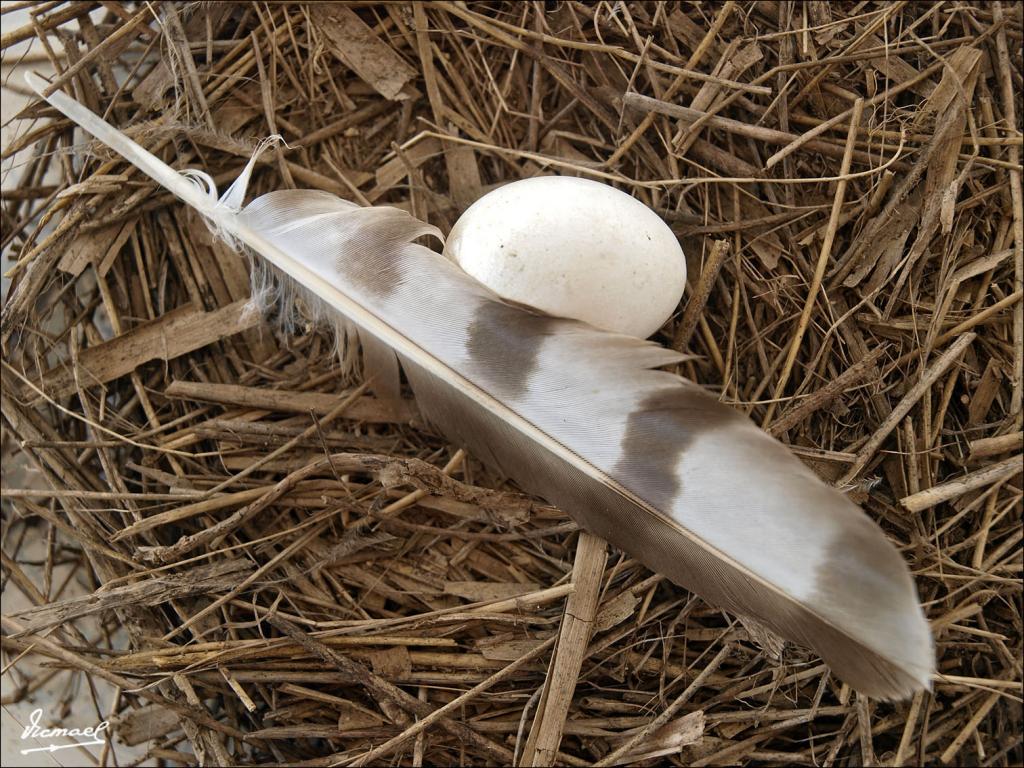 Foto de Cabanes (Castelló), España