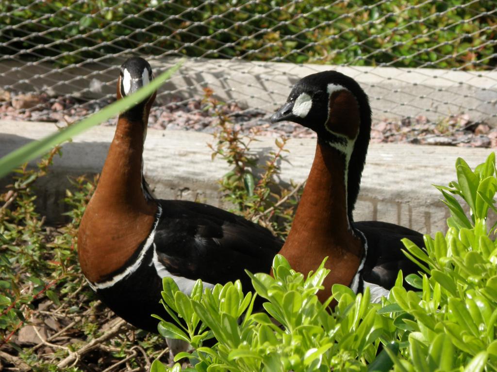 Foto de Belén de Escobar (Buenos Aires), Argentina