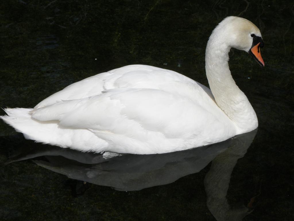 Foto de Belén de Escobar (Buenos Aires), Argentina