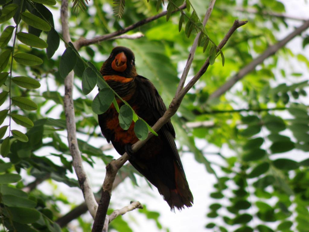 Foto de Belén de Escobar (Buenos Aires), Argentina