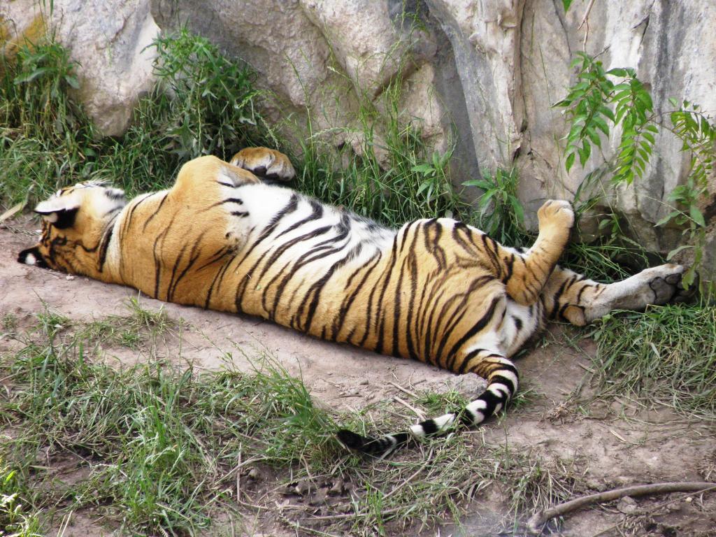 Foto de Belén de Escobar (Buenos Aires), Argentina